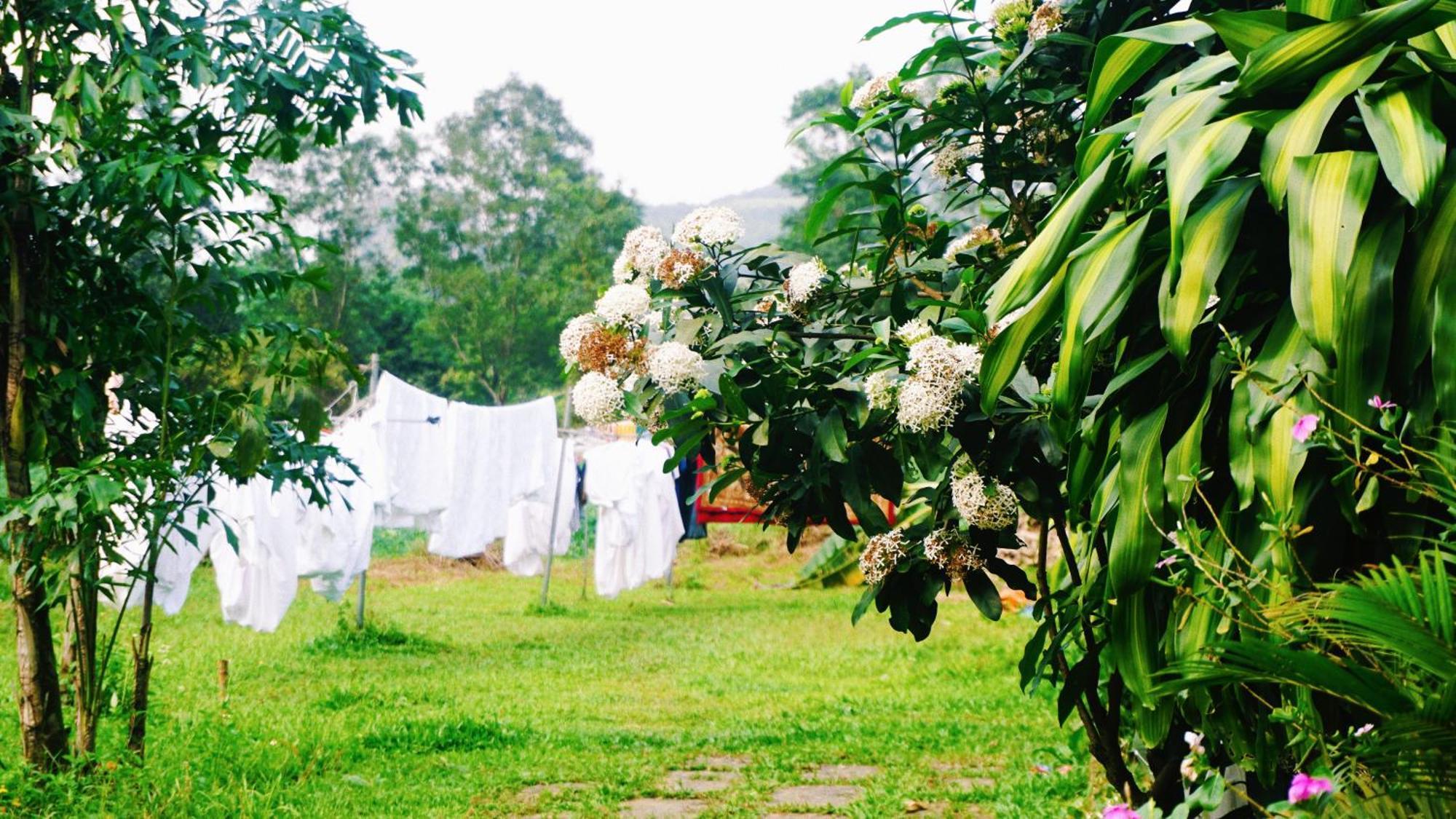Phong Nha Eco Village Eksteriør bilde