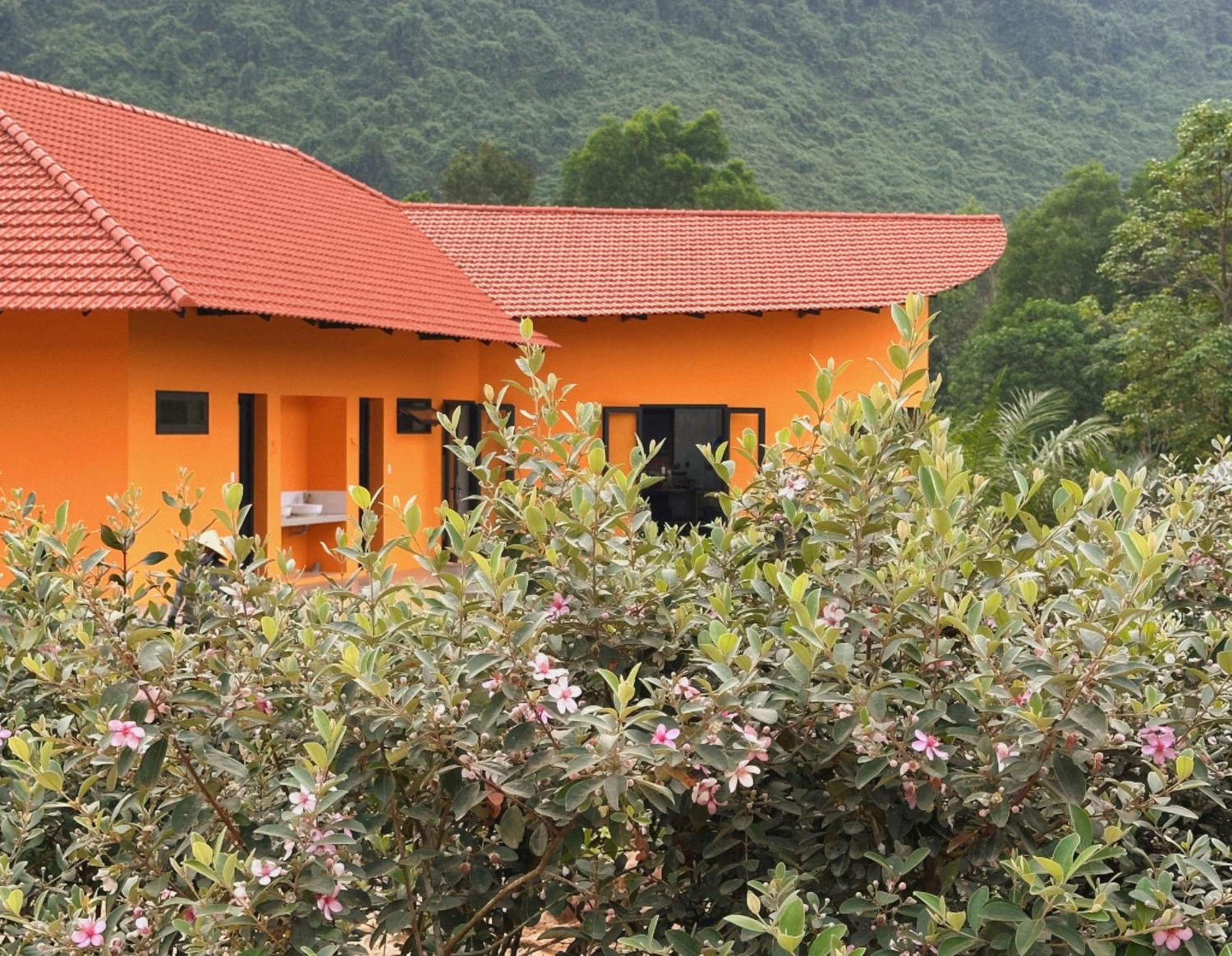 Phong Nha Eco Village Eksteriør bilde