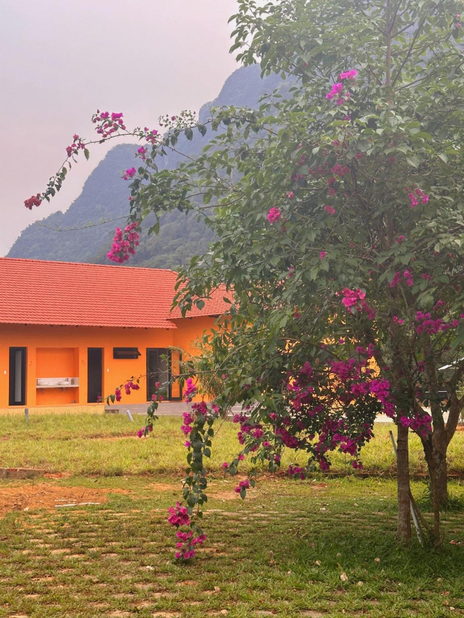 Phong Nha Eco Village Eksteriør bilde