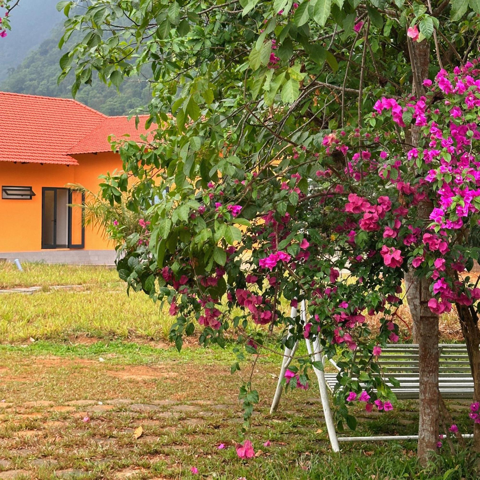 Phong Nha Eco Village Eksteriør bilde